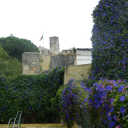 公寓 莫拉里亚舒适公寓 *